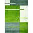 Dywan Hawai 1310/01 green, 120 x 170 cm
