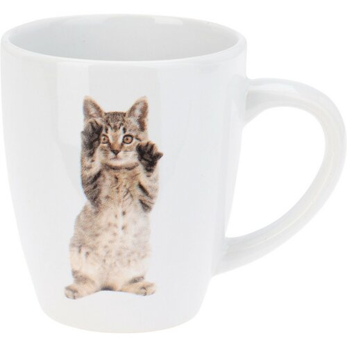 Zestaw kubków ceramicznych Cats 3 szt., 220 ml