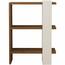 Knižnica Gaye Walnut White