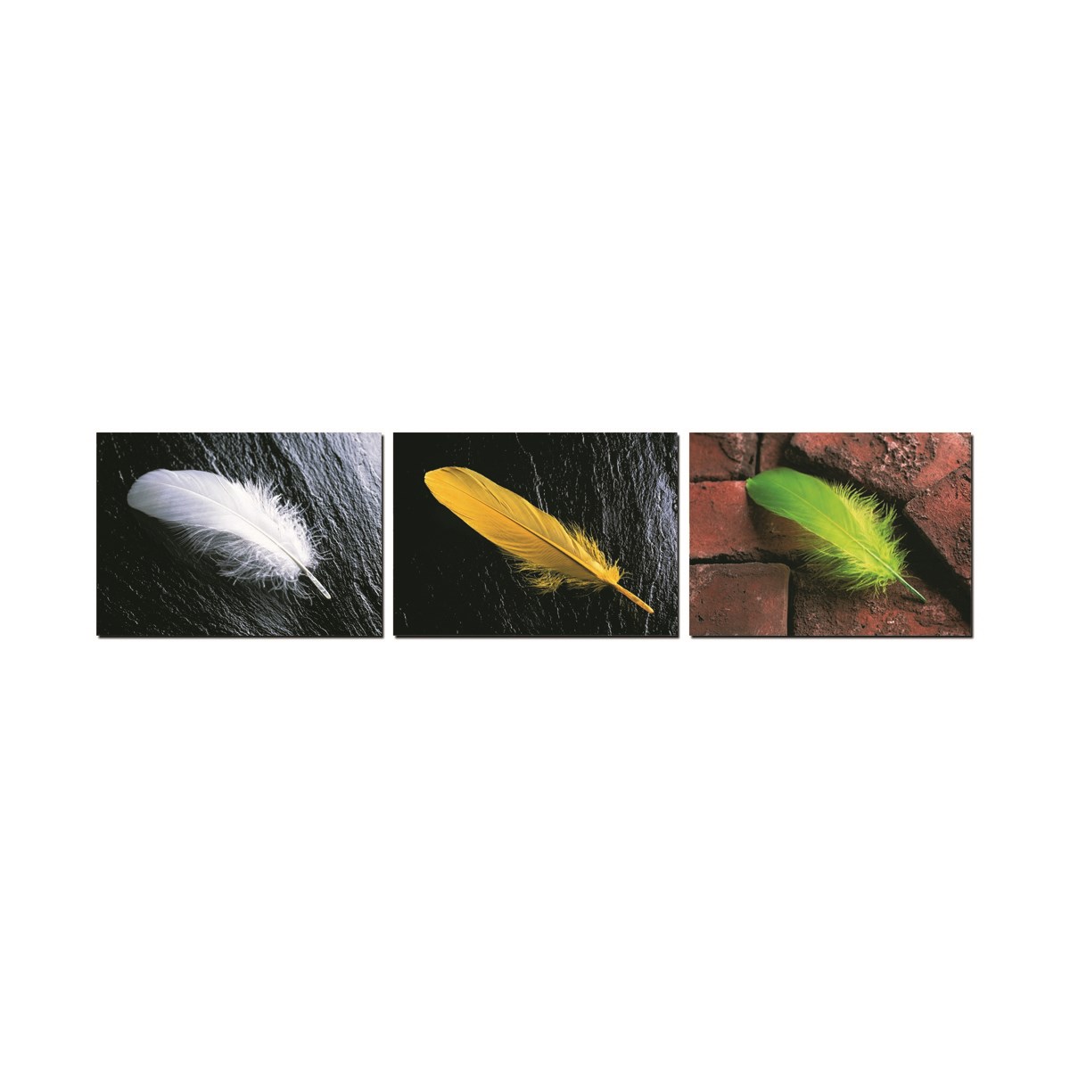 Autronic Trojdielny obraz Feather, OBK021