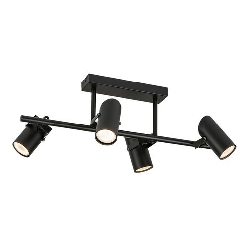 Rabalux 73044 lampy sufitowe Maximilian, 4 ramiona