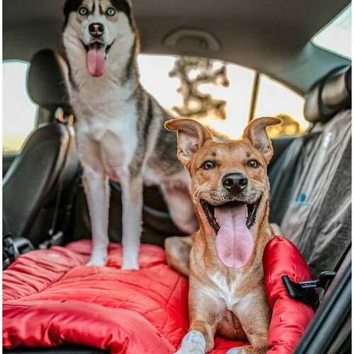 Kurgo® Wander Bed Loft Pelech pre psov L