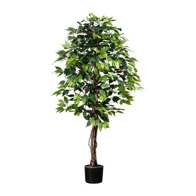 Umělá rostlina Ficus benjamin, 160 cm, zelená