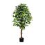 Művirág Ficus benjamin, 160 cm, zöld