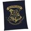 Pătură pentru copii Herding Harry Potter Hogwarts, 150 x 200 cm