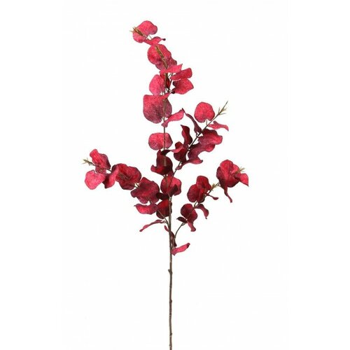 Sada podzimní větev Eukalyptus, 95 cm, 2 ks