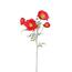 Pipacs 4 virággal, magassága: 52 cm, piros