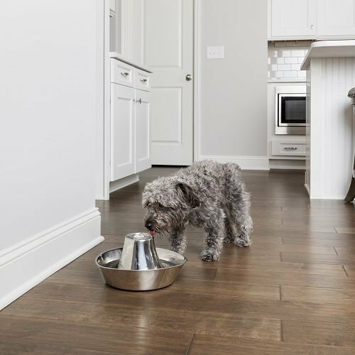 PetSafe® Seaside Nerjaveča fontana 1,8 l
