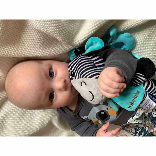 Baby Mix Edukačná hrajúca plyšová hračka s klipom Zebra, 17 cm