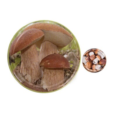 Orion Gombák 10 db-os csavaros fedél szett, 8,5 cm