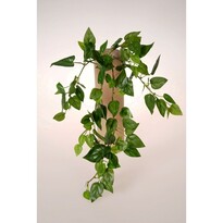 Umělé Mini philo, 40 cm Umělé Mini philo, 40 cm