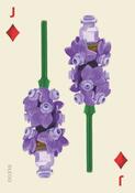 Chronicle Books LEGO® Set botanických hracích kariet