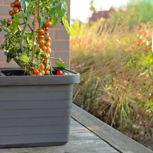 Plastia Samozavlažovací truhlík Berberis TRIO, antracit