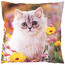 Obliečka na vankúšik Mačiatko na lúke, 40 x 40 cm