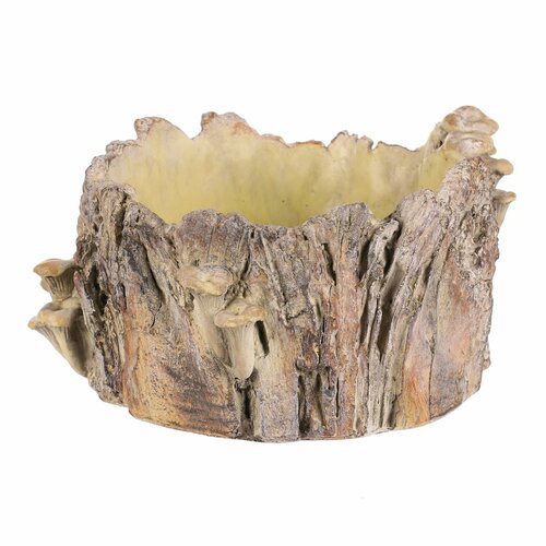Beton burkolat - tusk with mushrooms, 32 x 29 x 16cm