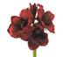 Umělá květina Amarilis tmavě červená
