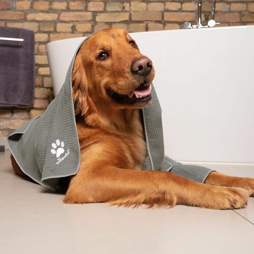 Vileda Pet Pro Mikrofiber brisa, 45 x 70 cm