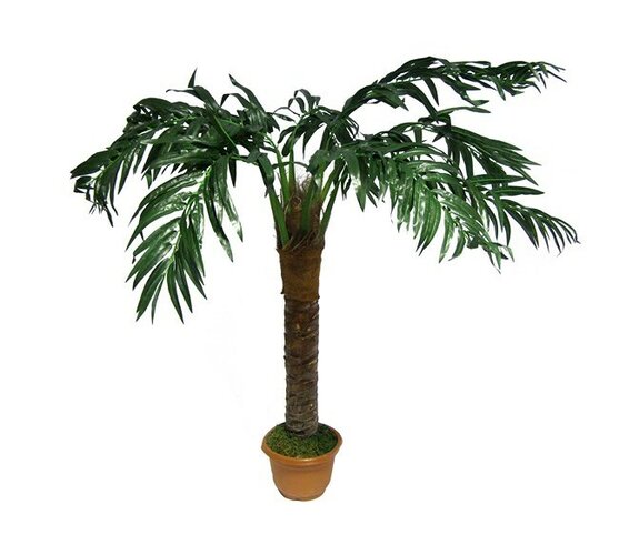 Strom palma, 130 cm