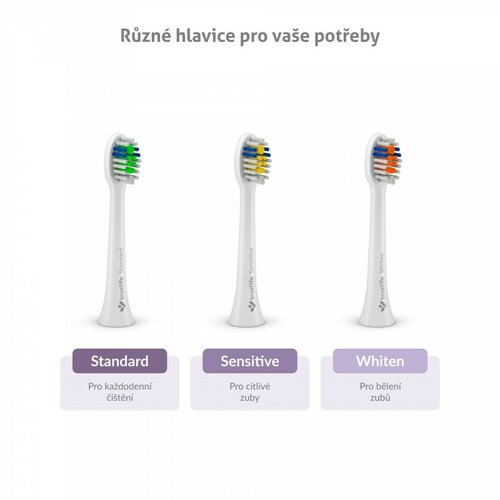 TrueLife Set soničnih zobnih ščetk SonicBrushCompact Duo, 2 kos