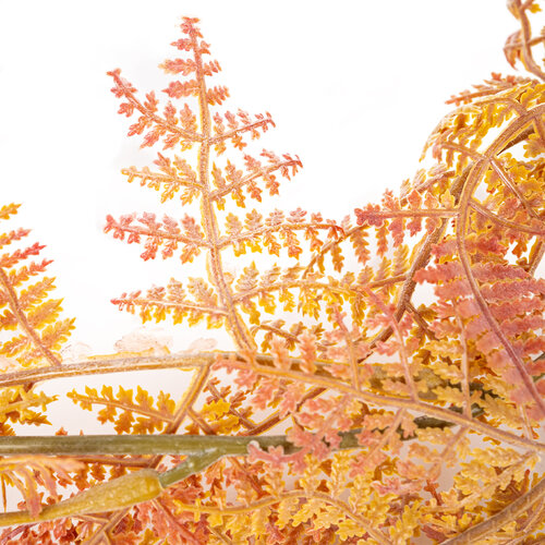 Папоротевий звис, помаранчевий, 17 x 85 см