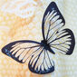Öntapadós falmatrica, 3D-s pillangók, fekete-fehér, 18 db