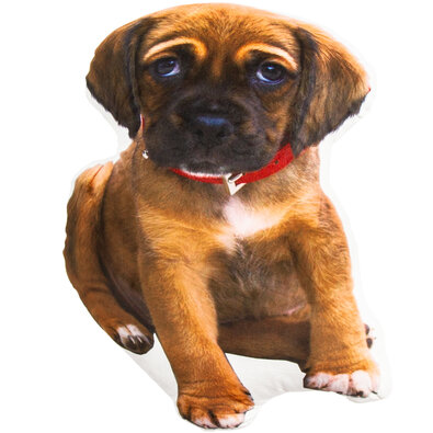 Tvarovaný vankúšik Šteniatko, 50 cm