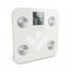 TrueLife FitScale W6 BT waga osobista z Bluetooth,biała