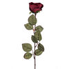 Floare artificială Trandafir mare, 72 cm, vișiniu