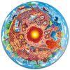Hape Puzzle - Lumea subterană