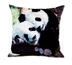 Obliečky na vankúšiky pandy, 40 x 40 cm, sada 2 ks