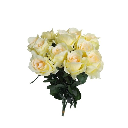 Buchet de trandafiri crem cu margini verzi, 12bucăți, înălțime 65 cm