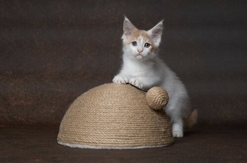 Flamingo Veda macska kaparó, 26 x 14 x 26 cm