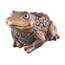 InDecor Keramischer Übertopf Rona Frosch, 34 x 30 x 22 cm