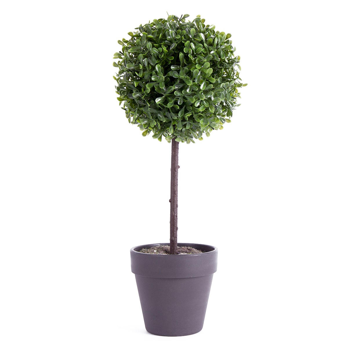 Buxusový stromček v kvetináči čierna, 40 cm