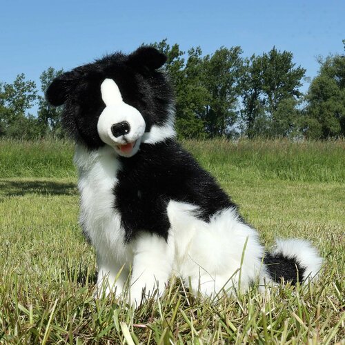 Rappa Plüschhund Border Collie 40 cm ECO - FRIENDLY