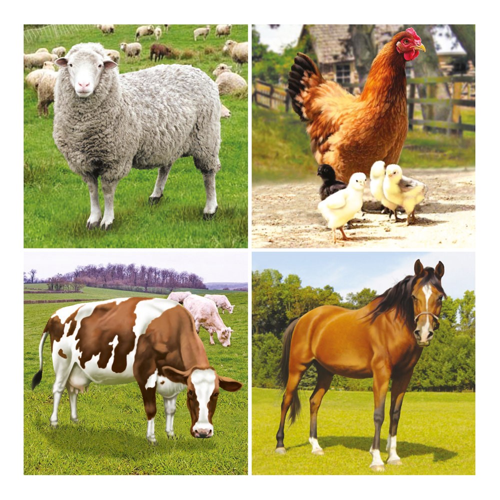 Bino Puzzle Farma, 36 dílků