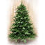 Vánoční stromeček jedle Frasier,  v. 210 cm, zelená