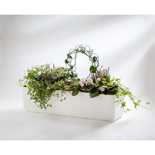 Plastia Ящик для квітів з автополивом Berberis 80, білий+ зелений