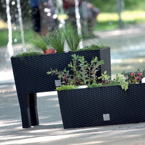 Jardinieră Rato Case High, antracit