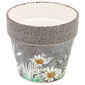 Recipient ceramic de ghiveci Foli, cu flori deprimăvară, 14 cm