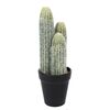 Umelý kaktus Steins, 10 cm