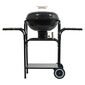 Cattara Grill na węgiel drzewny Messina, 93 x 102 x 47 cm