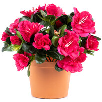 Umělá květina Azalka v květináči růžová, 21 x 10 x 10 cm