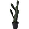 Umělý kaktus Willcox, 54 cm