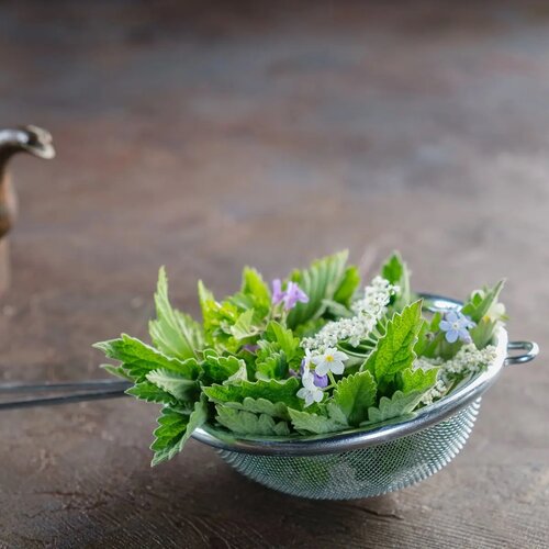 Orion Cedidlo nerez, 10 cm