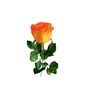 Umelá ruža, oranžová, 69 cm