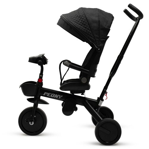 Baby Mix Triciclu pentru copii Peony EVA, negru