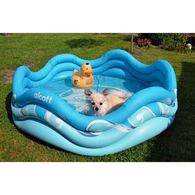Alcott Aufblasbarer Hundepool, 121,9 x 40,6 x121,9 cm, blau