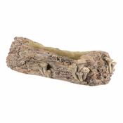 Betonska embalaža - korito, les z gobami, 49 x 21 x 15 cm