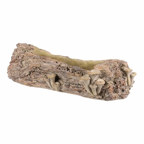 Betonübertopf – Blumenkasten, Holz mit Pilzen, 49 x 21 x 15 cm
